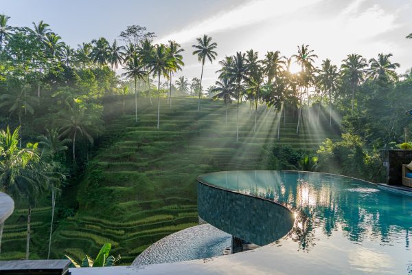 dip-into-the-pool-and